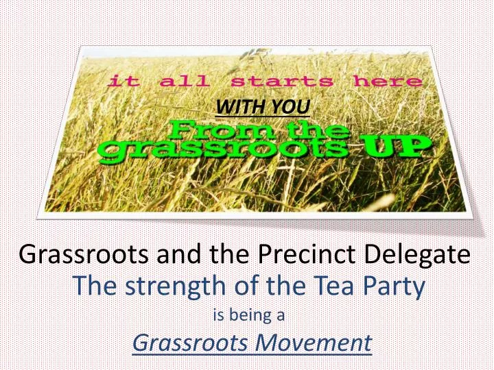 grassroots and the precinct delegate