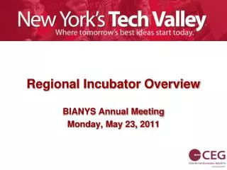 Regional Incubator Overview BIANYS Annual Meeting Monday, May 23, 2011