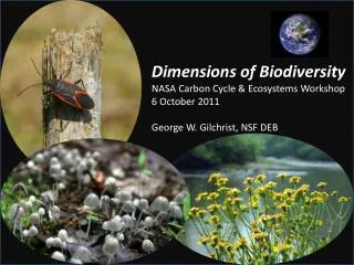 Dimensions of Biodiversity NASA Carbon Cycle &amp; Ecosystems Workshop 6 October 2011 George W. Gilchrist, NSF DEB