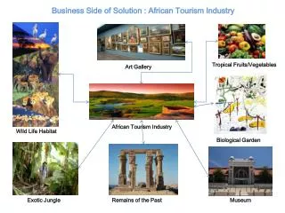 African Tourism Industry