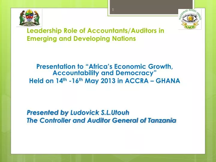 leadership role of accountants auditors in emerging and developing nations