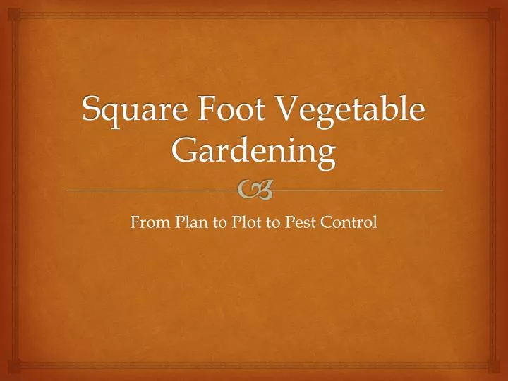 square foot vegetable gardening