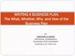 WRITING A BUSINESS PLAN: The What, Whether, Why and How of the Business Plan