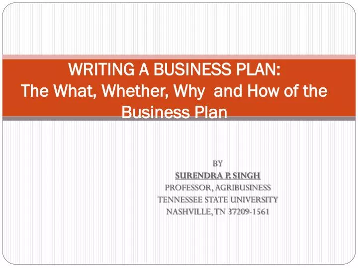 writing a business plan the what whether why and how of the business plan