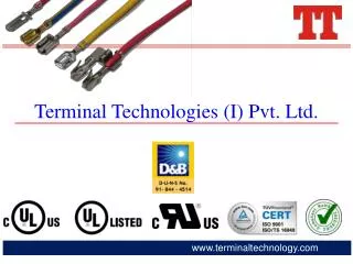 Terminal Technologies ( I ) Pvt. Ltd .