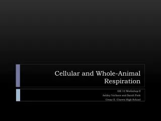 Cellular and Whole-Animal Respiration