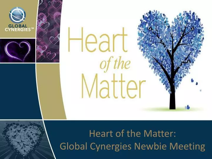 heart of the matter global cynergies newbie meeting