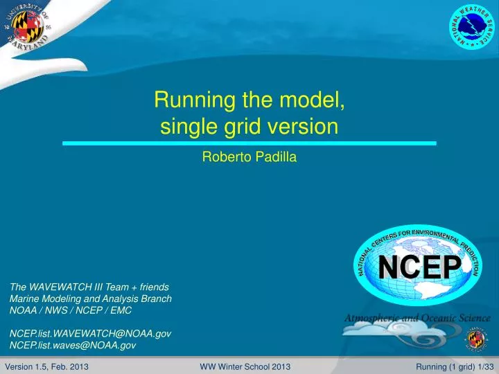 running the model single grid version