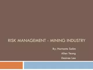 Risk Management - Mining Industry