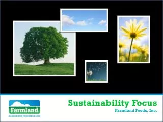 Sustainability Focus