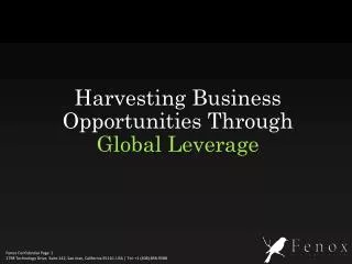 Harvesting Business Opportunities Through Global Leverage