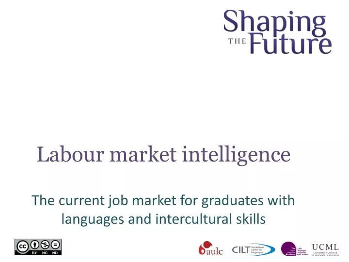 labour market intelligence