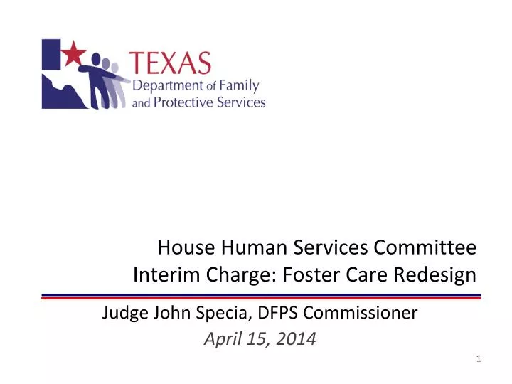 house human services committee interim charge foster care redesign