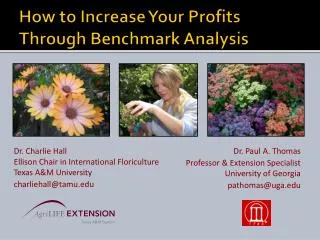 How to Increase Your Profits Through Benchmark Analysis