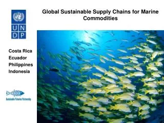 Global Sustainable Supply Chains for Marine Commodities