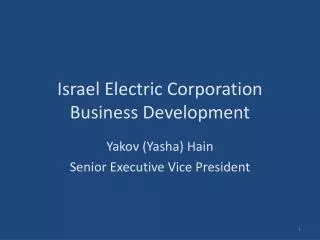 Israel Electric Corporation Business Development