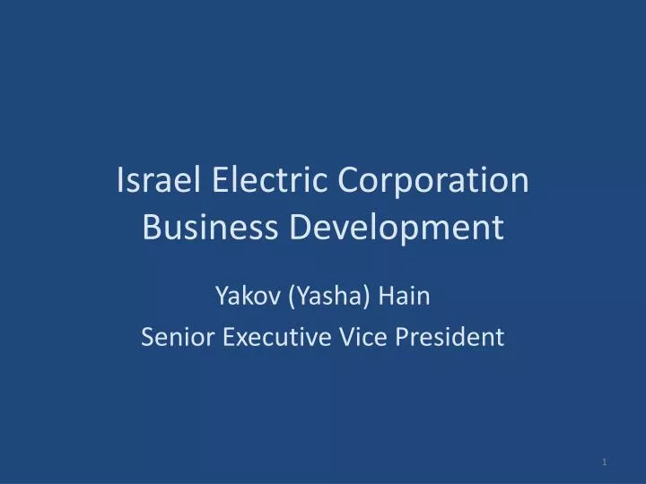 israel electric corporation business development