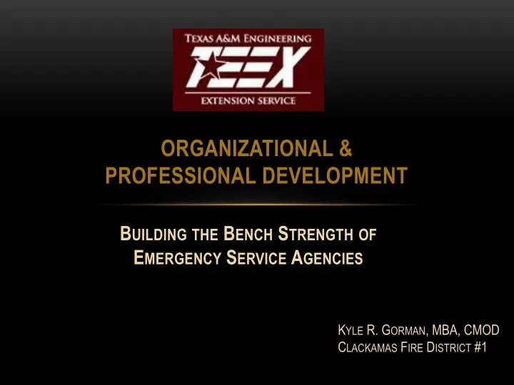 organizational professional development
