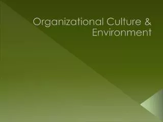 Organizational Culture &amp; Environment