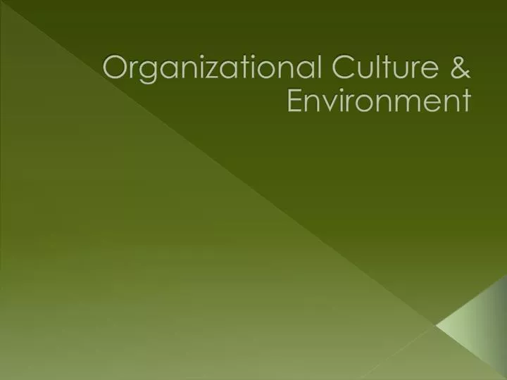 organizational culture environment