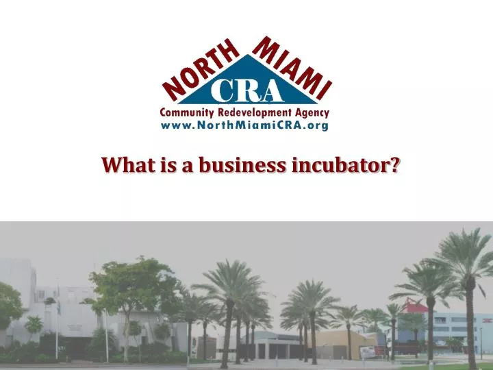 what is a business incubator