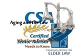 Essential Legal Insights for Professionals on Aging and the Law - slide 1