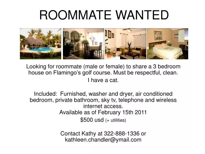 roommate wanted