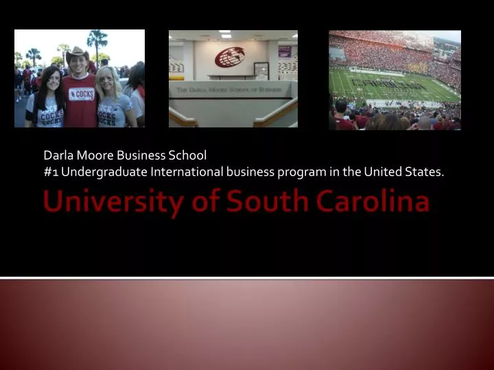darla moore business school 1 undergraduate international business program in the united states