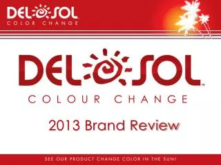 2013 Brand Review