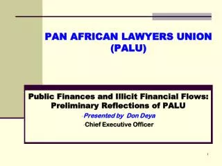 PAN AFRICAN LAWYERS UNION (PALU)
