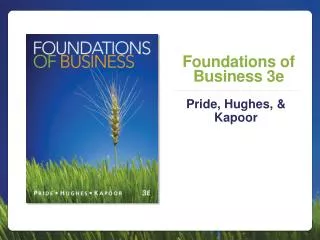 Foundations of Business 3e