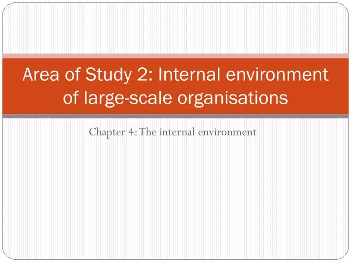 area of study 2 internal environment of large scale organisations