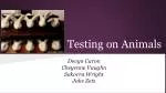Testing on Animals - slide 1