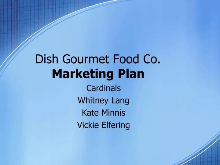 dish gourmet food co marketing plan