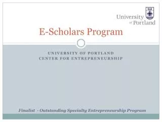 E-Scholars Program