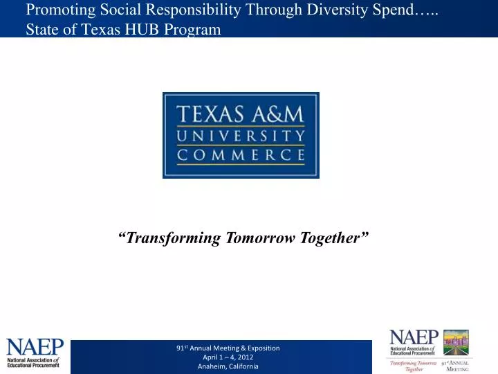 promoting social responsibility through diversity spend state of texas hub program