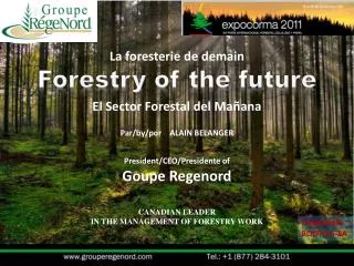Forestry of the future