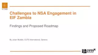 Challenges to NSA Engagement in EIF Zambia Findings and Proposed Roadmap