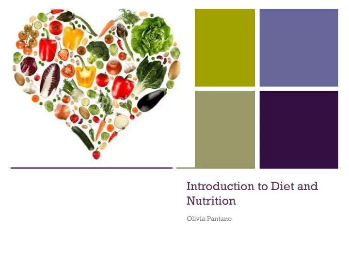 introduction to diet and nutrition