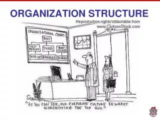 ORGANIZATION STRUCTURE