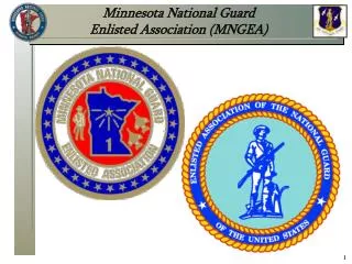 Minnesota National Guard Enlisted Association (MNGEA)