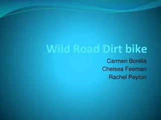 Wild Road Dirt bike
