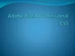 Adobe Flash Professional CS5 - slide 1