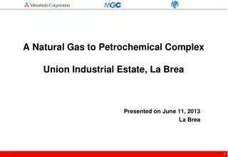 A Natural Gas to Petrochemical Complex Union Industrial Estate, La Brea