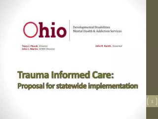 Trauma Informed Care: Proposal for statewide implementation