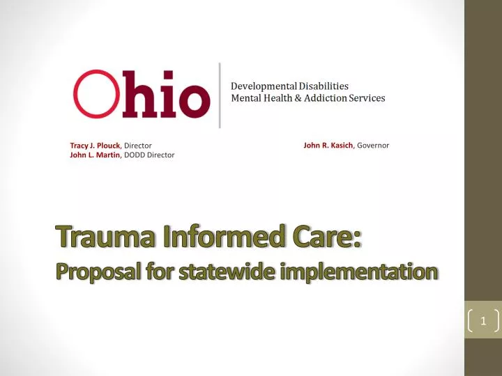 trauma informed care proposal for statewide implementation
