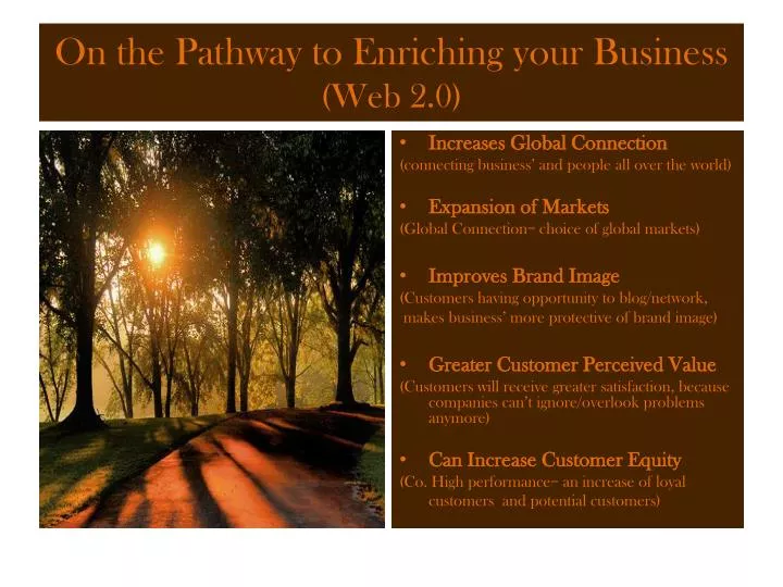 on the pathway to enriching your business web 2 0