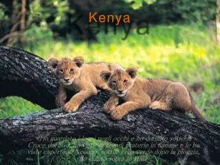kenya