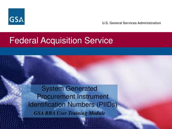 system generated procurement instrument identification numbers piids