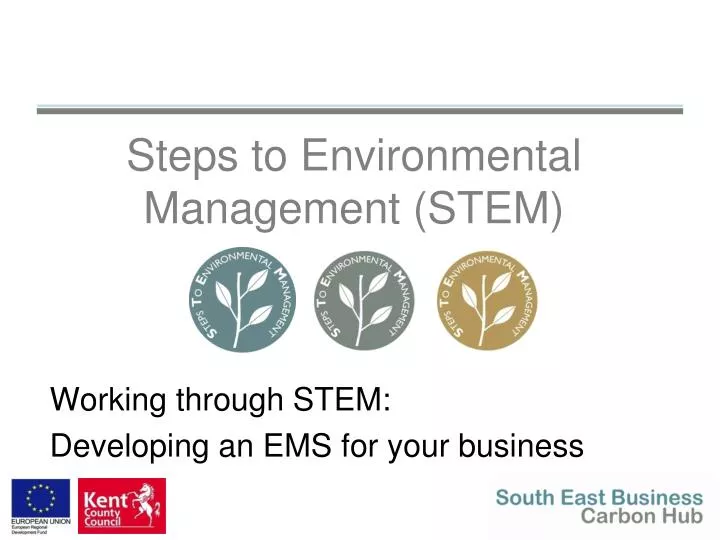 steps to environmental management stem